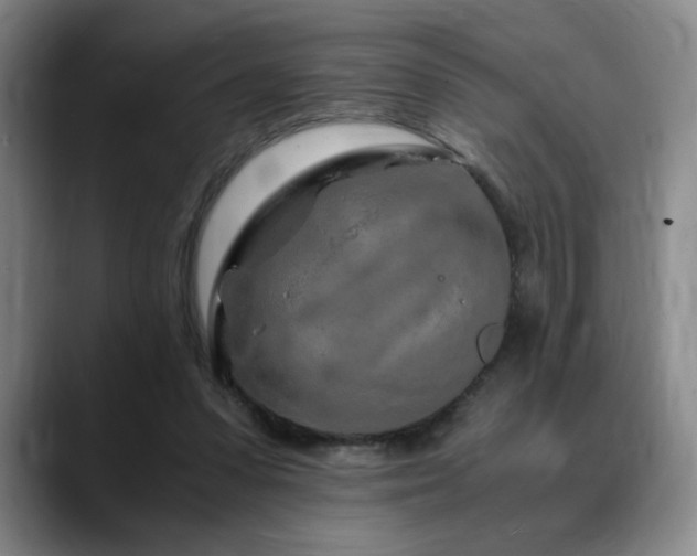 X0000090600303200707171337