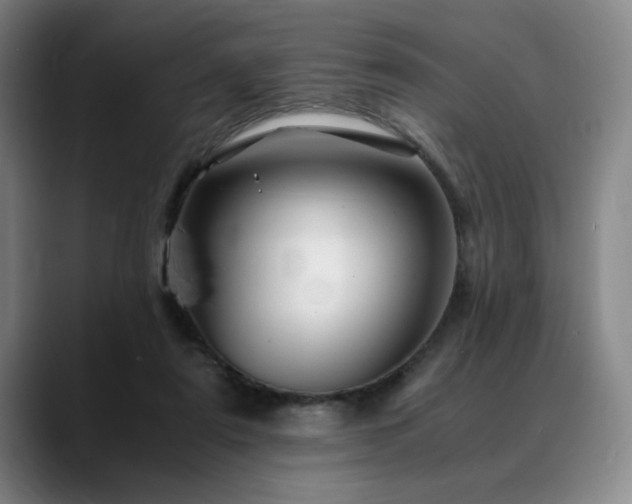 X0000090600307200707171337