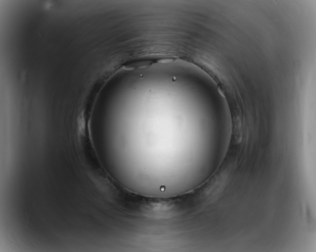 X0000090600310200707171337