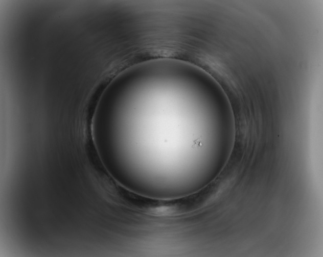 X0000090600312200707171337