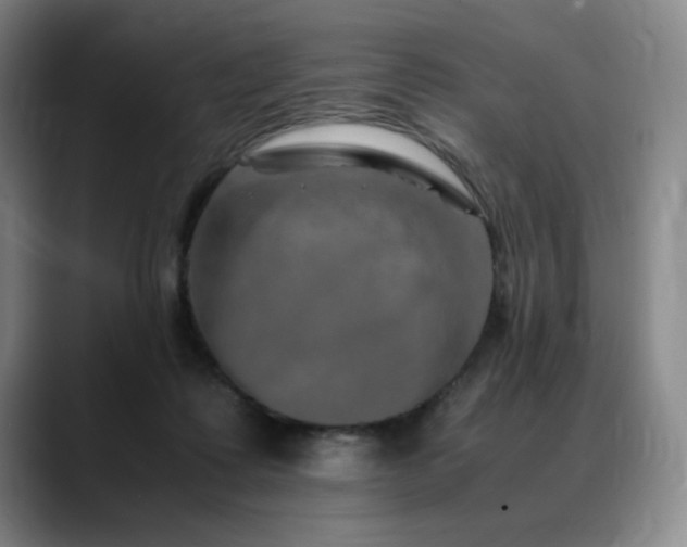 X0000090600315200707171337