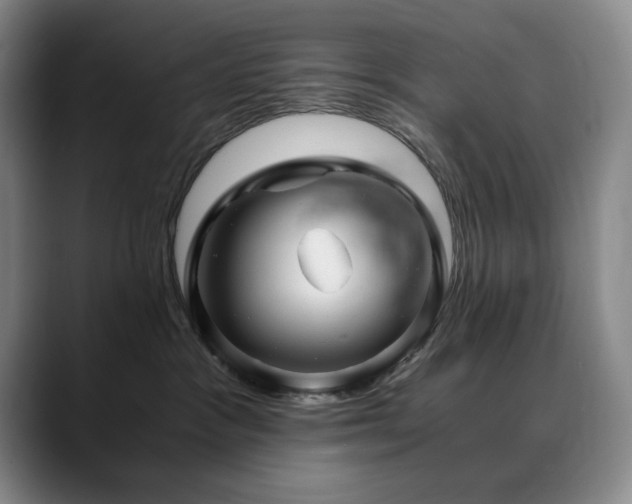 X0000090600333200707171337
