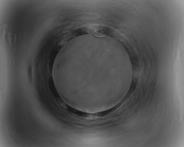 X0000090600335200707171337