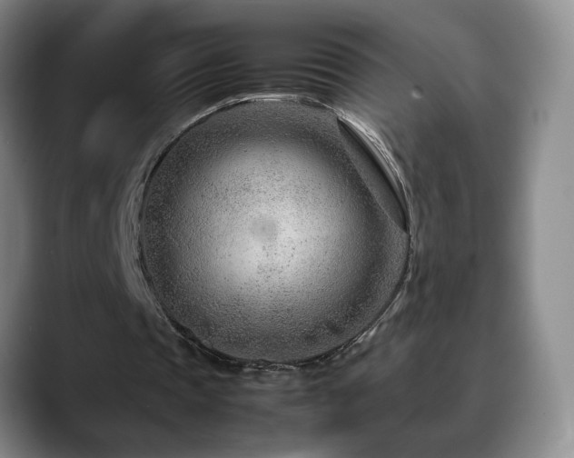 X0000090600337200707171336