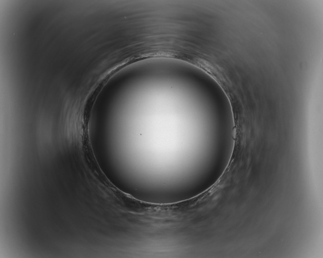 X0000090600338200707171336