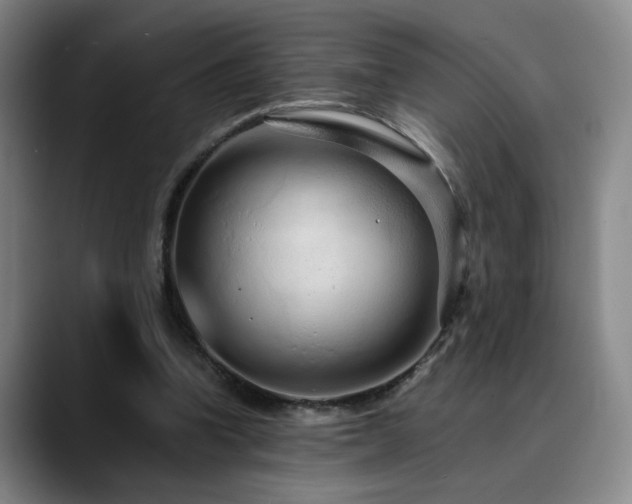X0000090600346200707171337