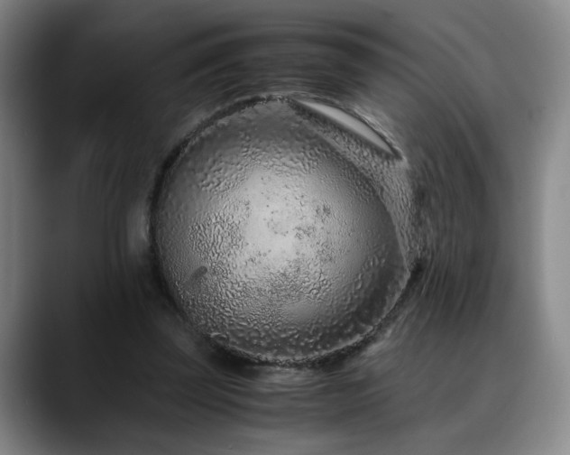 X0000090600347200707171337