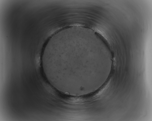 X0000090600351200707171337