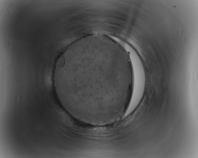 X0000090600353200707171337
