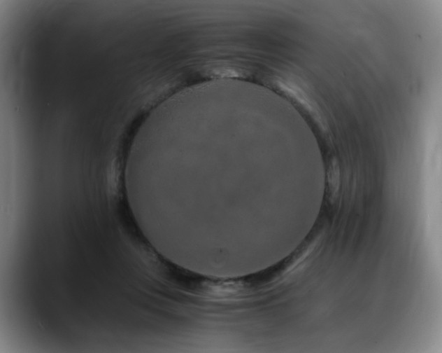 X0000090600359200707171337