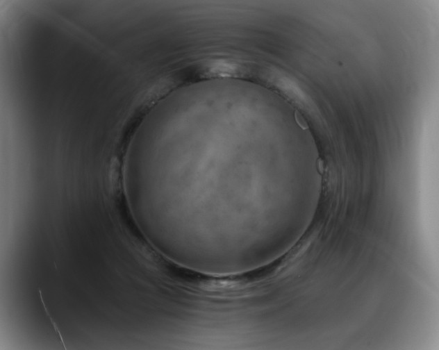 X0000090600361200707171337