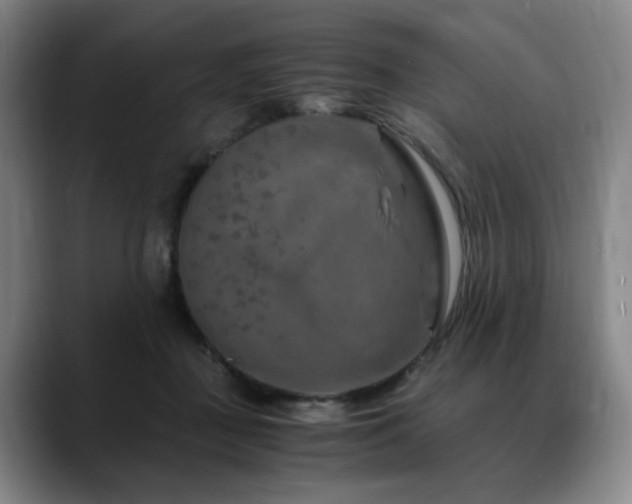 X0000090600363200707171337