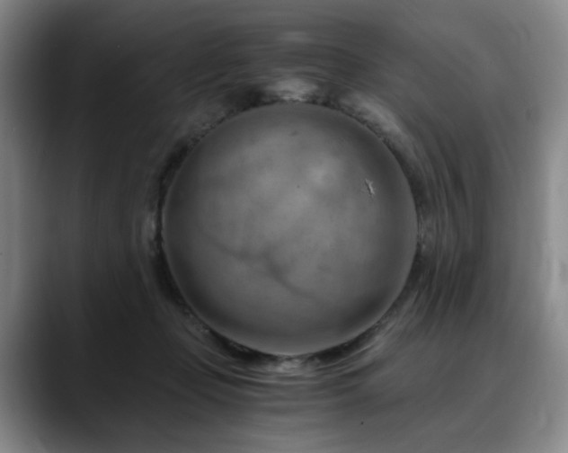 X0000090600365200707171337