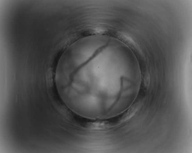 X0000090600366200707171337