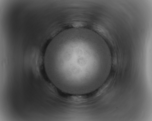 X0000090600367200707171337