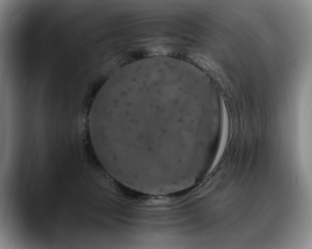 X0000090600369200707171337