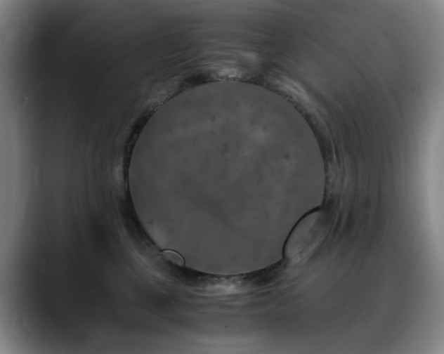 X0000090600377200707171337