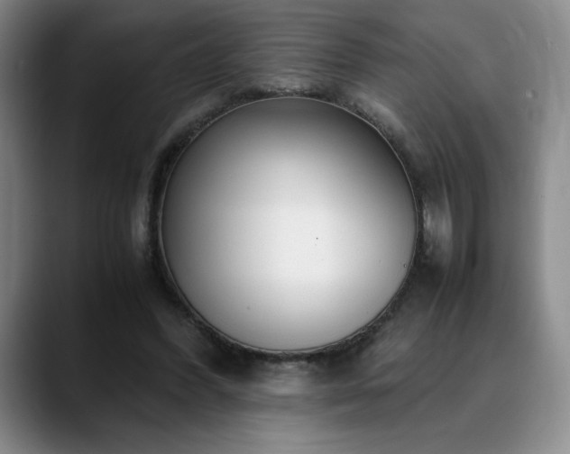 X0000090600396200707171336