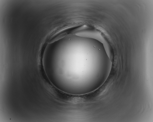X0000090600399200707171336