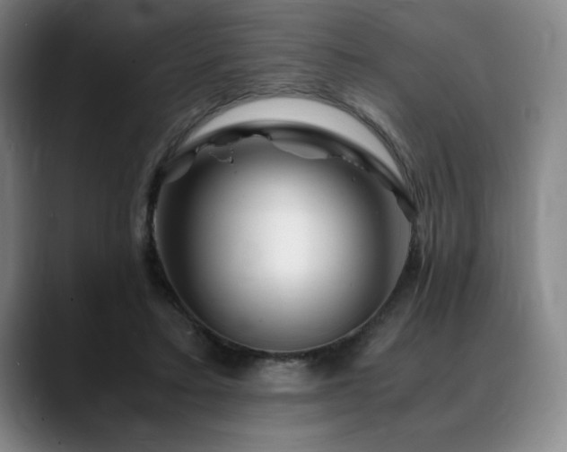X0000090600403200707171336
