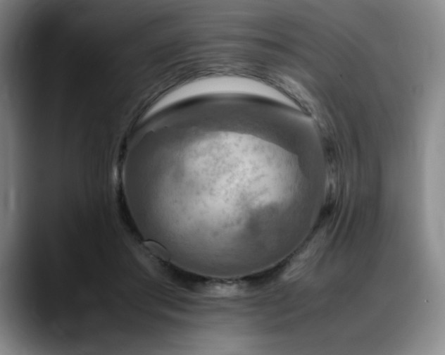 X0000090600405200707171336