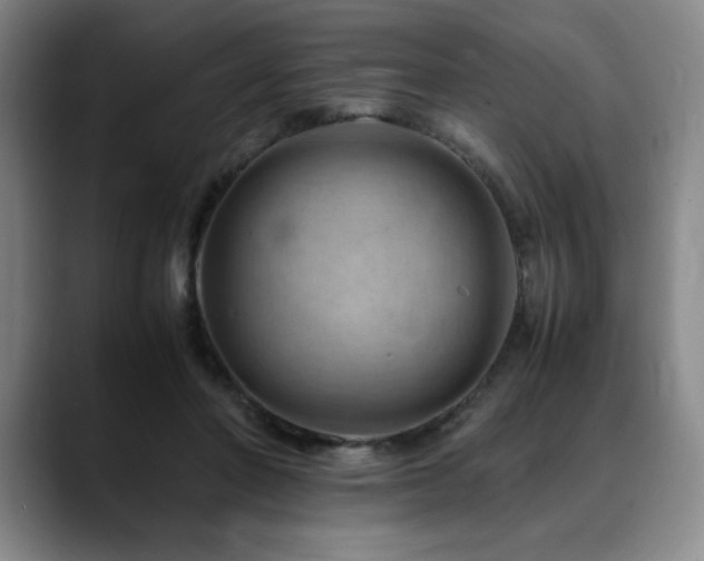 X0000090600406200707171336