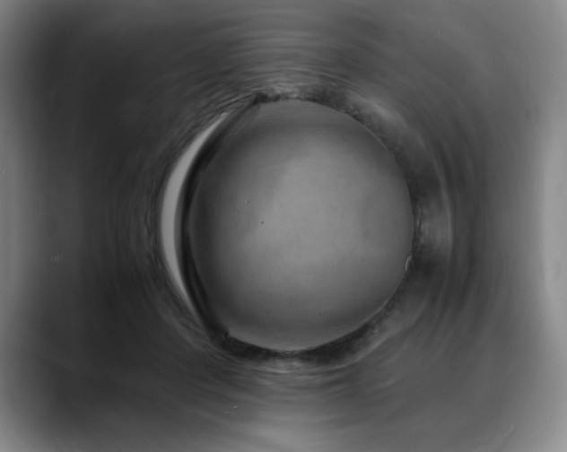 X0000090600408200707171336