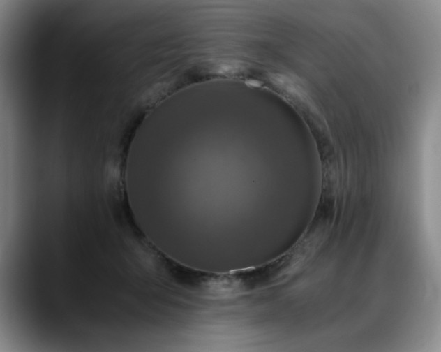 X0000090600415200707171336