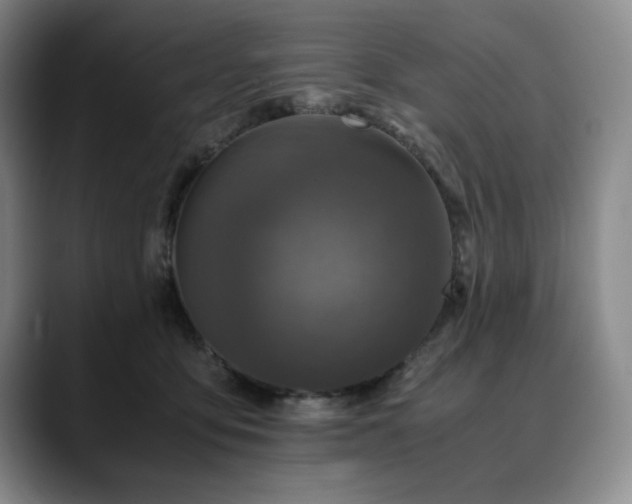 X0000090600419200707171336