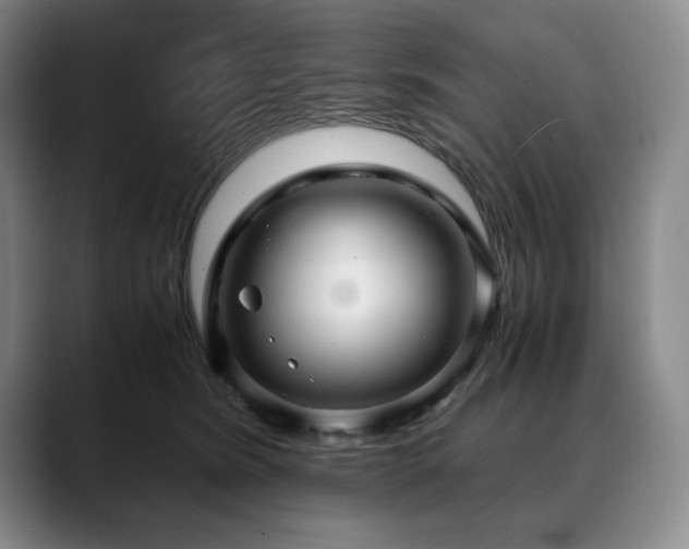 X0000090600420200707171336