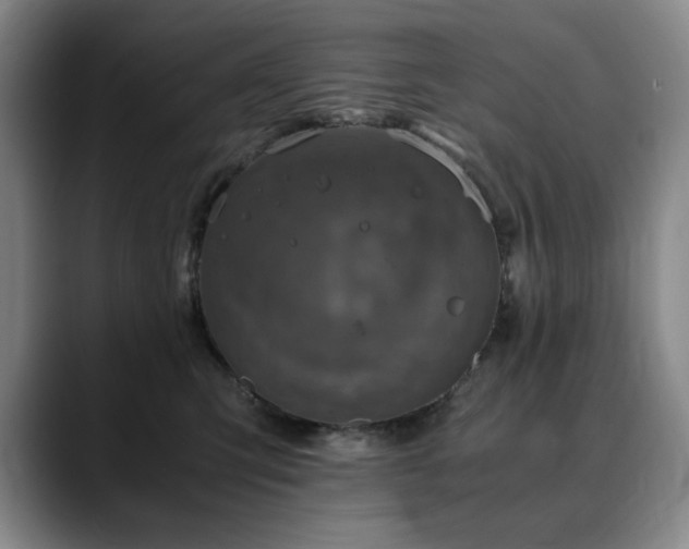 X0000090600423200707171336