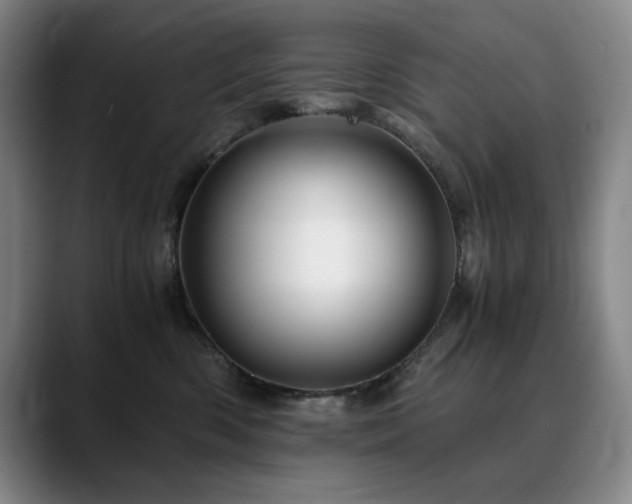 X0000090600426200707171336