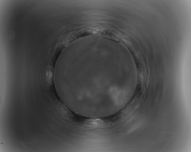 X0000090600427200707171336