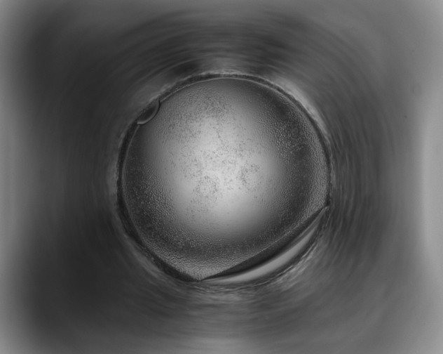 X0000090600437200707171335