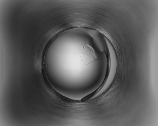 X0000090600438200707171335