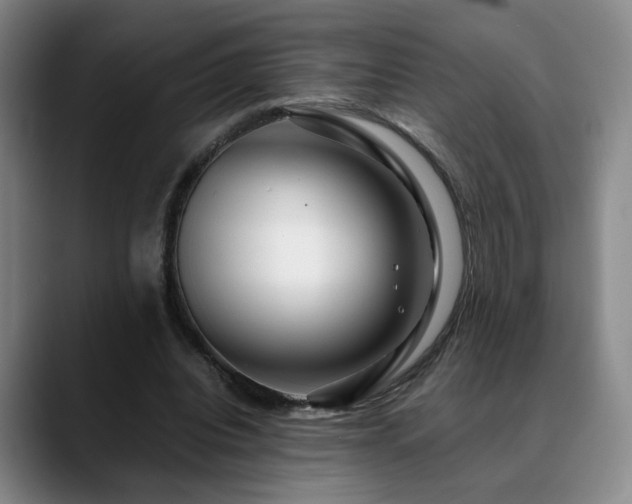 X0000090600440200707171335