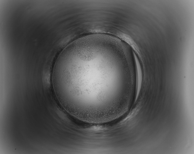 X0000090600441200707171335