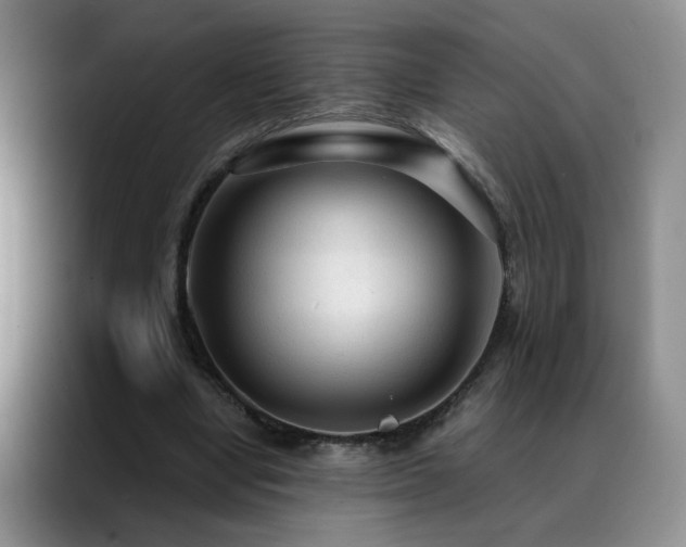 X0000090600442200707171335