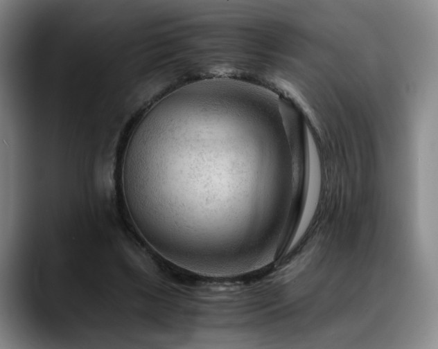 X0000090600443200707171335