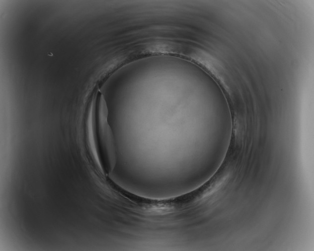 X0000090600445200707171335