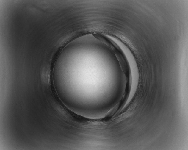 X0000090600446200707171335