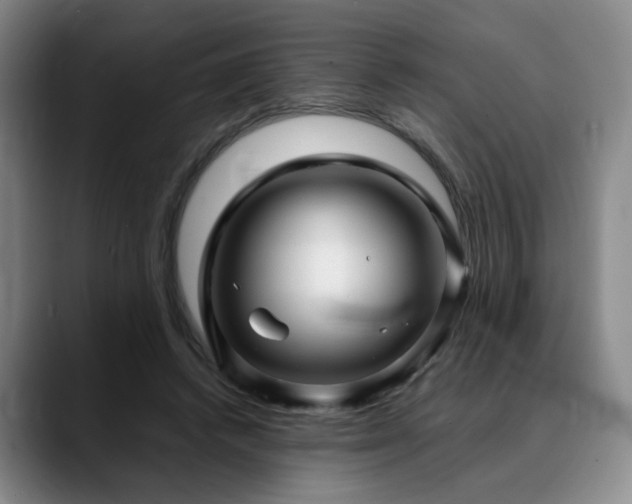 X0000090600448200707171336