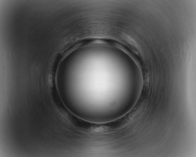 X0000090600452200707171336