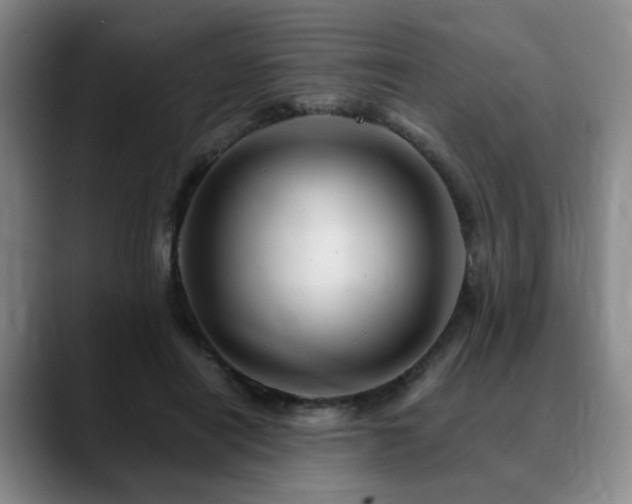 X0000090600454200707171336