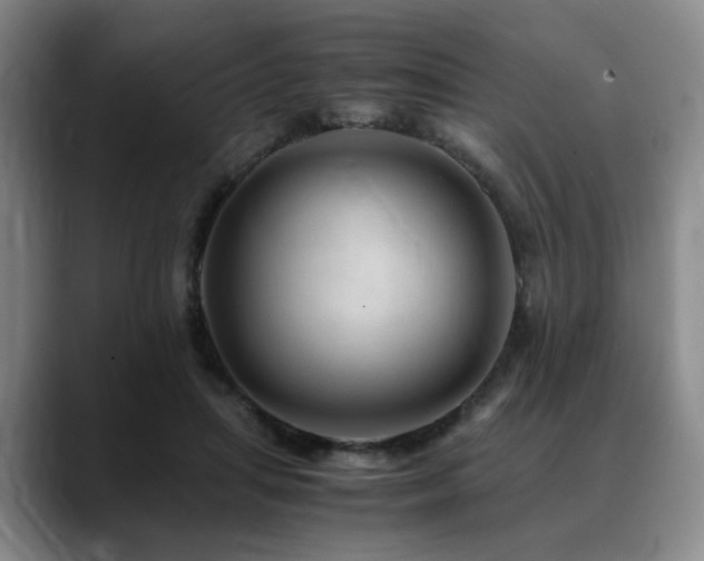 X0000090600455200707171336