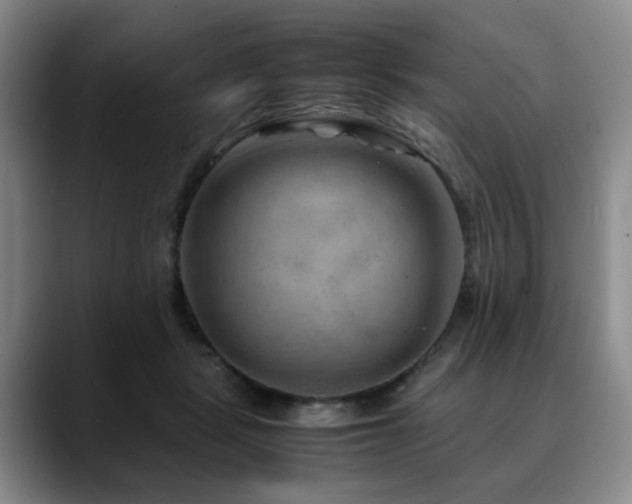 X0000090600461200707171336