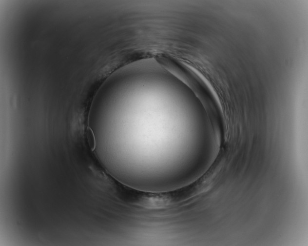 X0000090600466200707171336