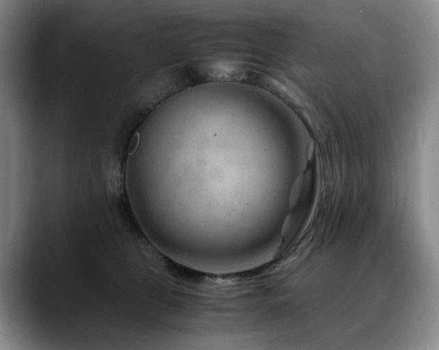 X0000090600469200707171336