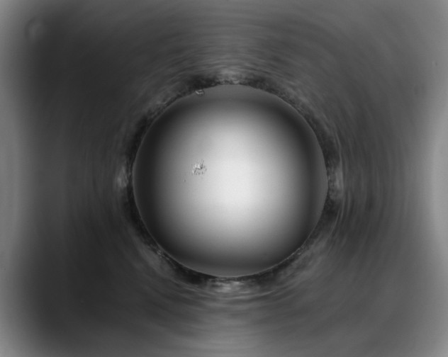 X0000090600472200707171336