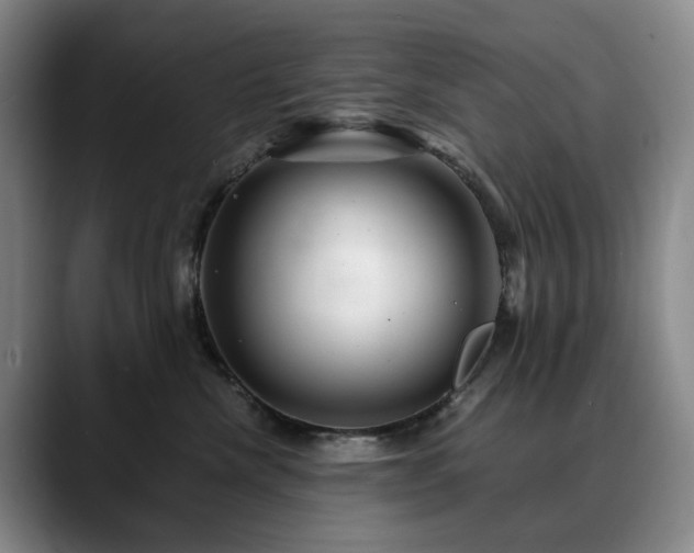 X0000090600476200707171336